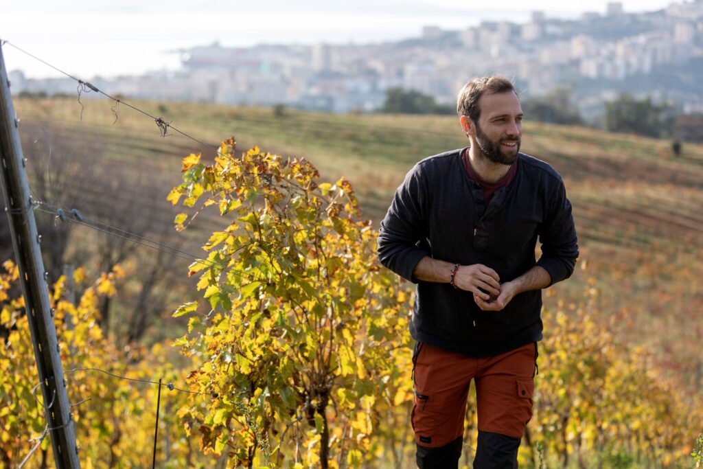 gastronomie_ajaccio_vignoble_automne_domaine de la sorba © ATC Sylvain Alessandri-23